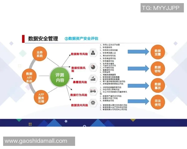 以安全为核心构建数字化时代的智能防护体系与风险管理策略