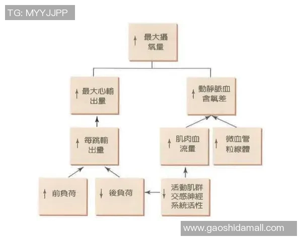 增强心肺功能提高健康水平有氧运动的多重益处与科学指导