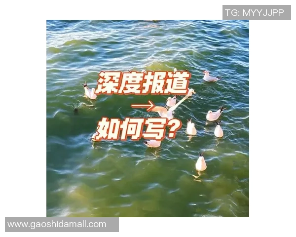 新闻网聚焦全球热点 解析国内外重大新闻事件与深度报道