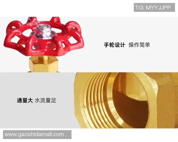 水管阀门：关键设施的控制与管理