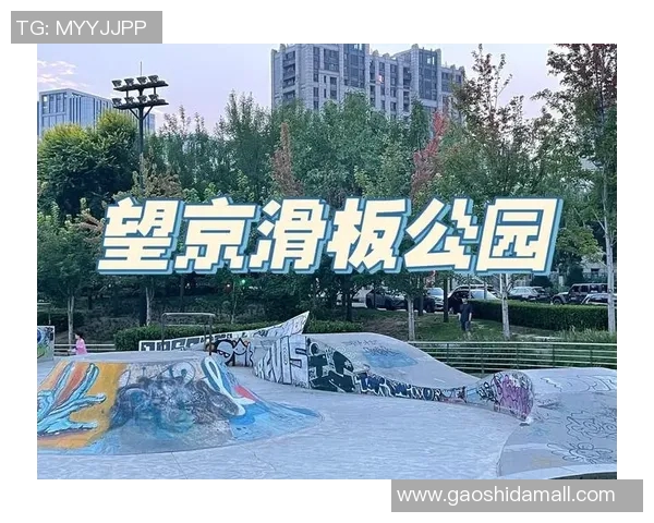 北京滑板队中路突破的成功与不足分析及未来发展方向探讨