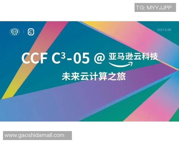北京羽毛球队的控制革新与未来发展战略深度探讨